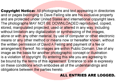 copyright notice